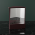 True Mirror - see yourself as the world sees you
